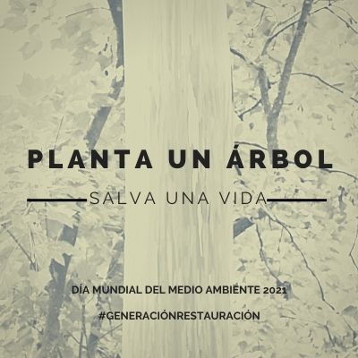 homosexual masilla diámetro Día Mundial del Medio Ambiente 2021: Frases cortas con imágenes | Unión  Guanajuato