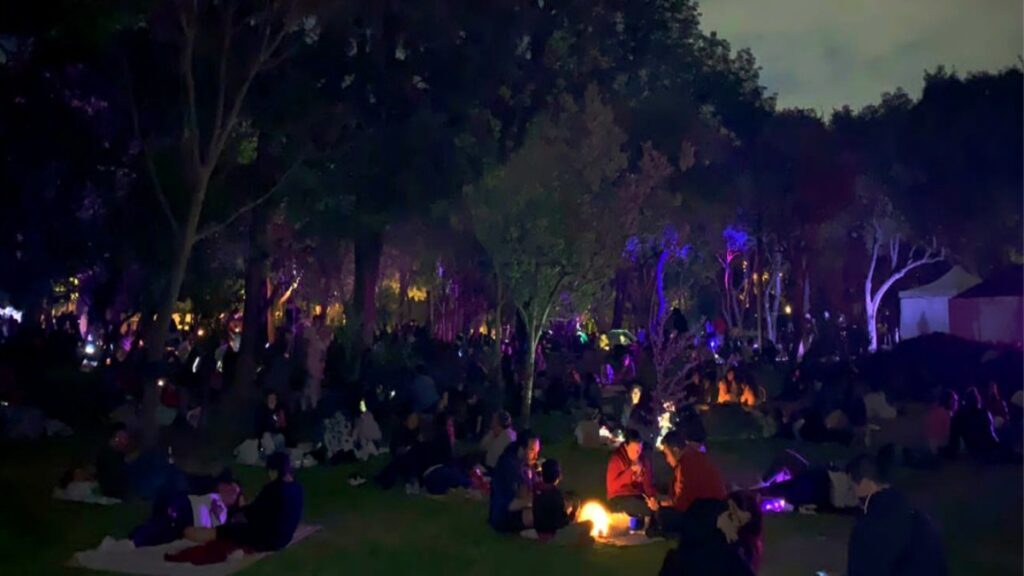 picnic nocturno Bosque de Chapultepec