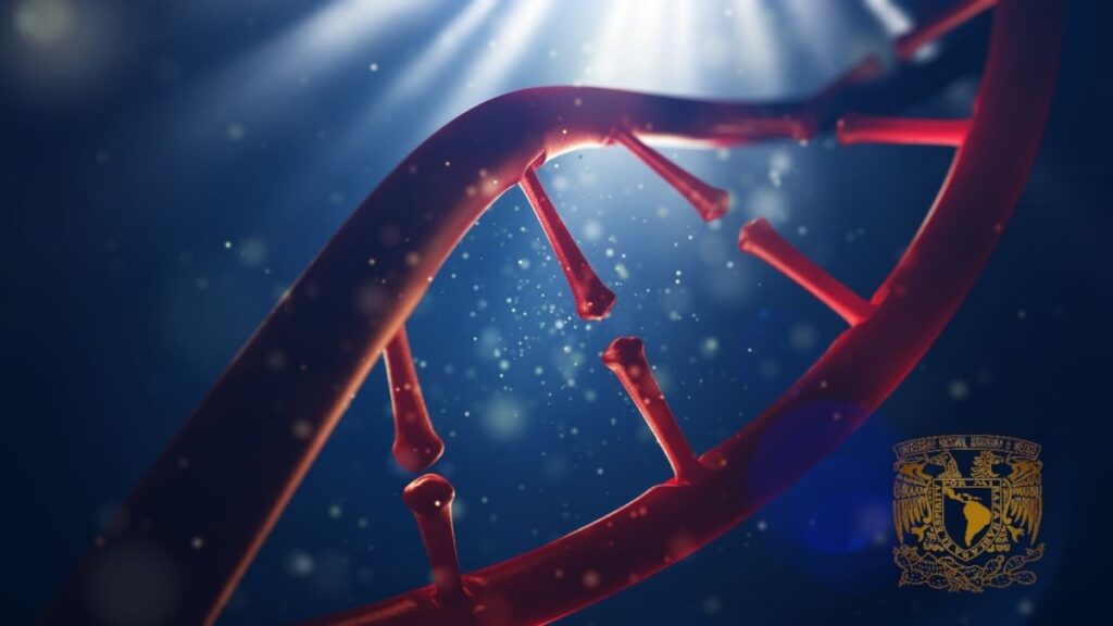 UNAM informa que el genoma humano ha sido descifrado