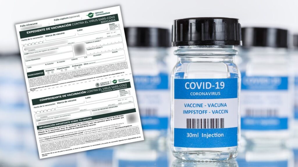 Registro vacunación