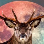 Superluna de ciervo el 13 de julio