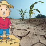 Afectaciones de la sequía