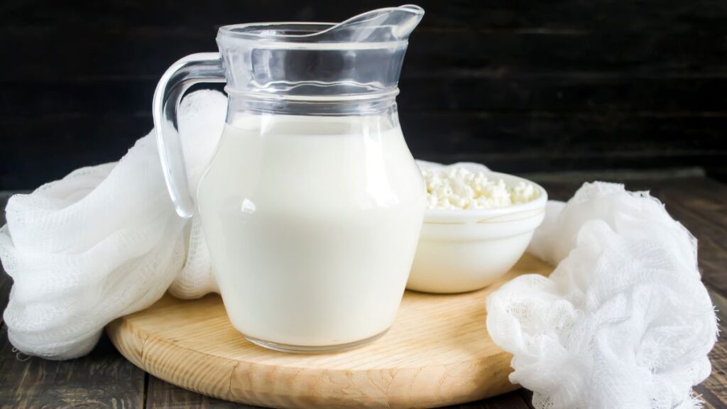 Productos lácteos y sus derivados