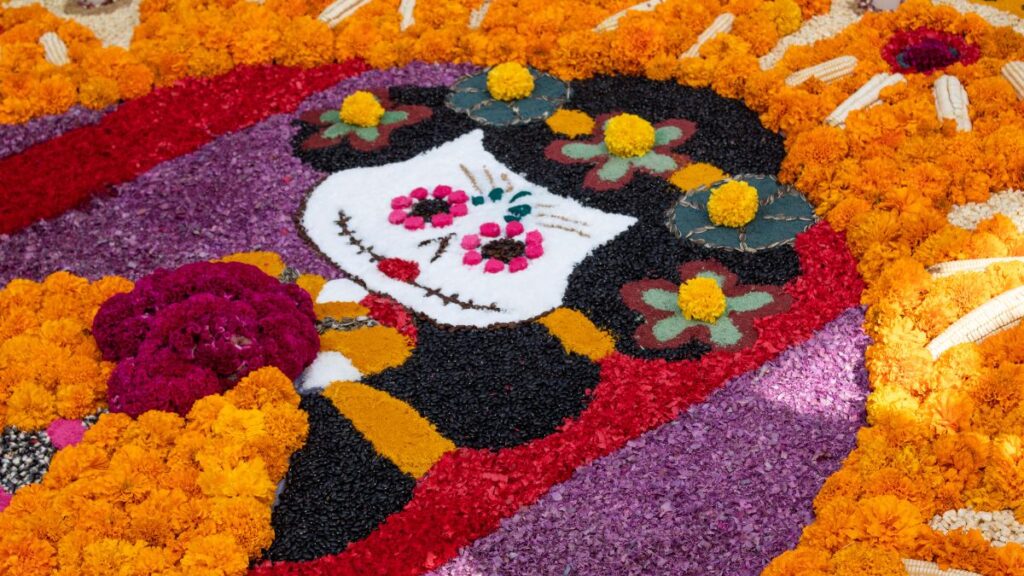Así se cultiva la flor de cempasúchil para las ofrendas de Día de Muertos |  Unión CDMX