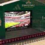 FIFA Fan Festival 2022