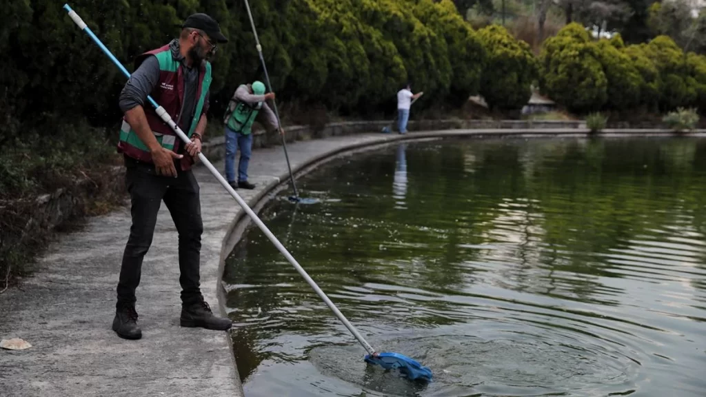 Piden no alimentar peces y patos del Lago de Chapultepec