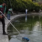 Piden no alimentar peces y patos del Lago de Chapultepec
