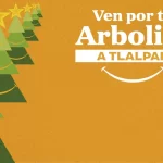 Tlalpan invita a comprar tu árbol de navidad natural