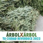 Acopio de Árboles de navidad en Azcapotzalco