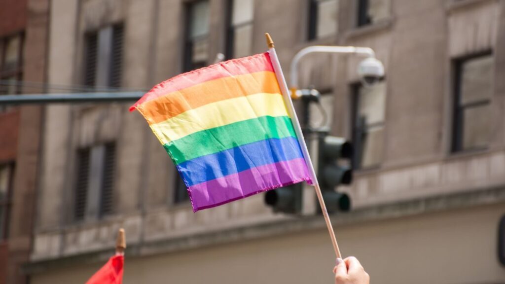 Marcha del orgullo gay